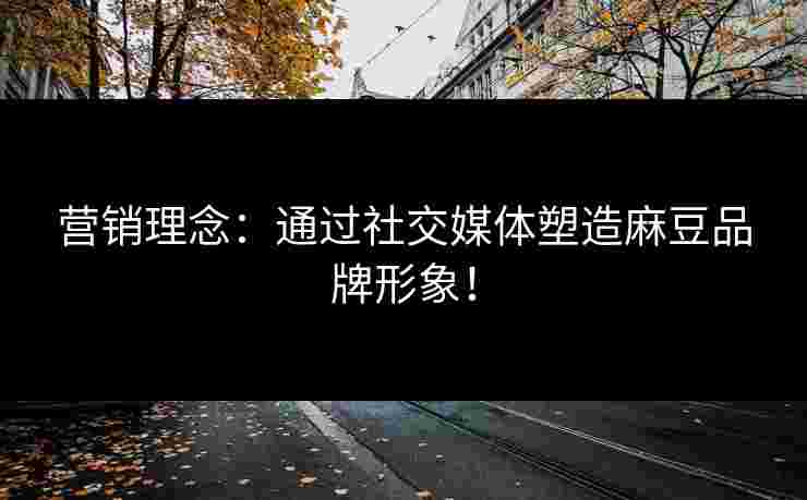 营销理念：通过社交媒体塑造麻豆品牌形象！